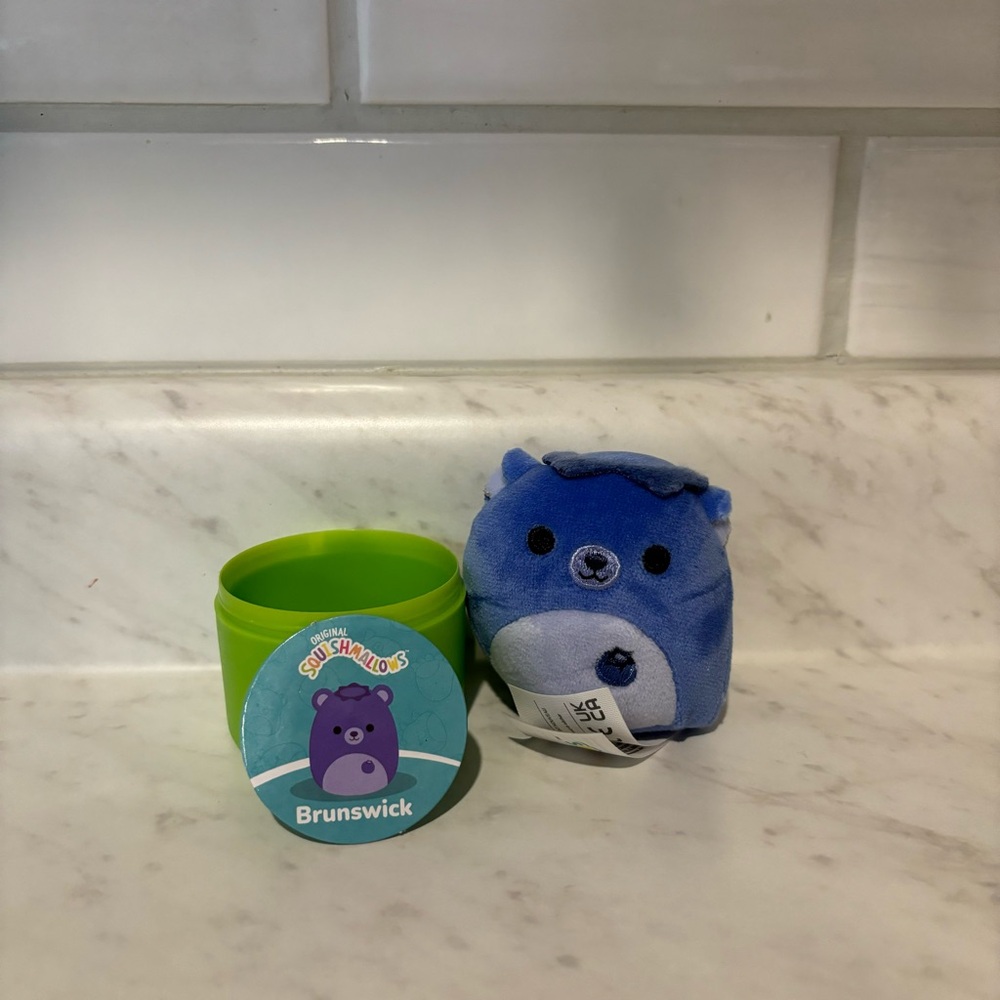 Brunswick the Blueberry Bear Squishmallow Capsule